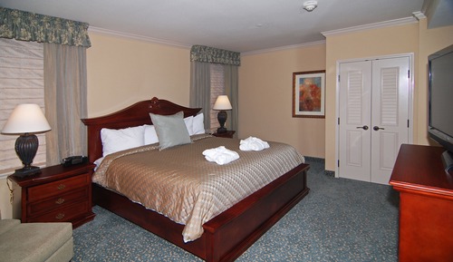 Room, 1 King Bed with Sofa bed, Accessible, Non Smoking