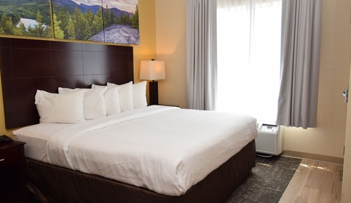 Suite, 1 King Bed with Sofa bed, Accessible, Non Smoking