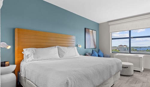 Room, 1 King Bed (Mobility Accessible, Roll-In Shower)
