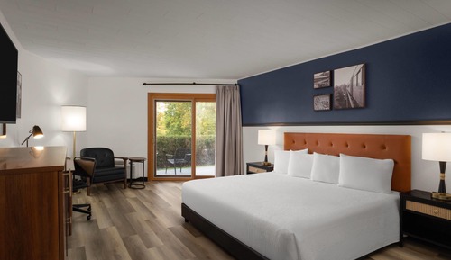 Room, 1 King Bed, Mobility Accessible, Non Smoking (Bathtub with Grab Bars)