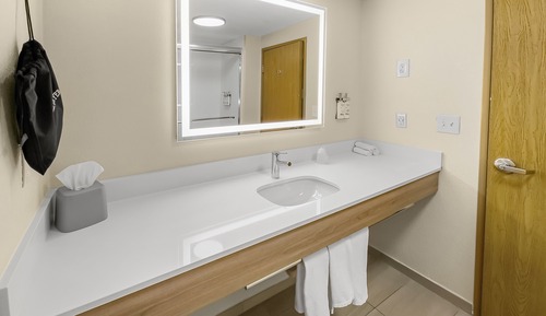Standard Room, 1 King Bed with Sofa bed
