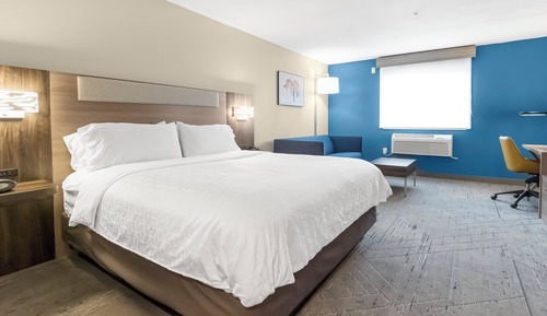 Standard Room, 1 King Bed, Accessible, Non Smoking (Communications, Roll-In Shower)