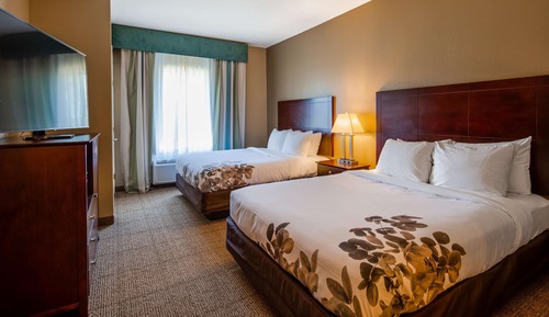 Suite, 2 Queen Beds, Non Smoking, Microwave (Pet Friendly;with Sofabed)