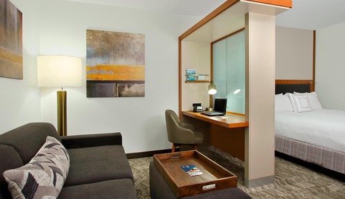 Studio, 1 King Bed with Sofa bed (Mobility/Hearing Access, Roll-In Shwr)