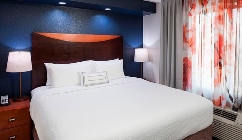 Suite, 1 King Bed with Sofa bed
