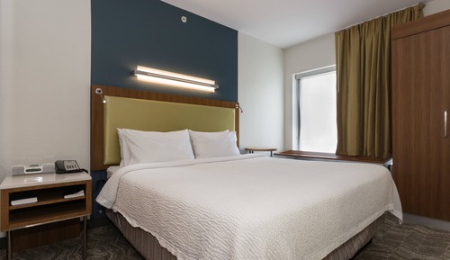 Suite, 1 King Bed with Sofa bed, Hearing Accessible (Accessible Bathtub)