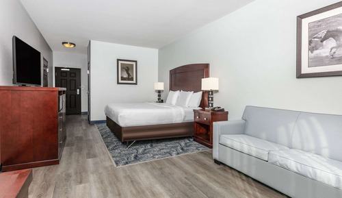 Deluxe Suite, 1 King Bed, Non Smoking