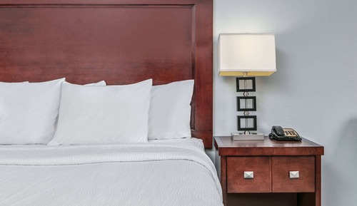 Room, 1 King Bed, Non Smoking