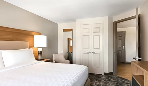 Suite, 1 Bedroom, Kitchen (1 King, Living Area)