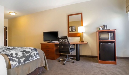 Standard Room, 1 King Bed, Non Smoking