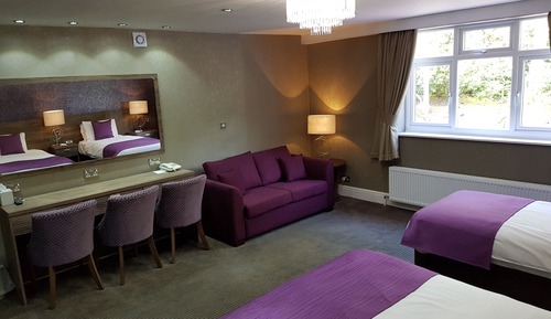 Family Room, Multiple Beds (with Sofabed)