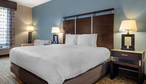 Room, 1 King Bed, Non Smoking, Kitchenette