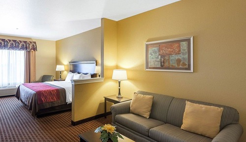 Suite, 1 King Bed with Sofa bed, Accessible, Non Smoking