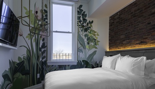 Studio, 1 Queen Bed