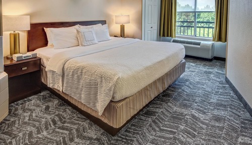 Studio, 1 King Bed with Sofa bed