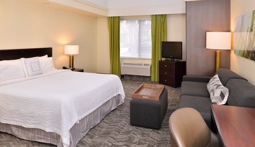 Studio Suite, 1 King Bed with Sofa bed (Mobility/Hearing Access, Roll-in Shwr)