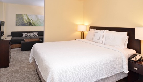 Studio Suite, 1 King Bed with Sofa bed