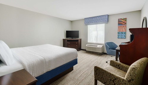 Room, 1 King Bed, Accessible, Non Smoking (Roll-in Shower)