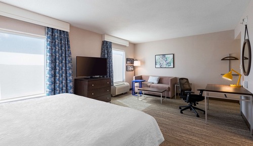Room, 1 King Bed, Accessible, Non Smoking