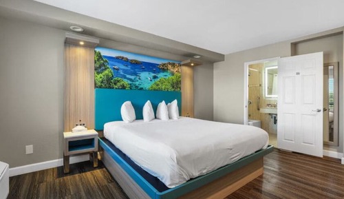 Standard Single Room, Accessible