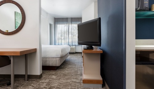 Suite, 1 King Bed with Sofa bed