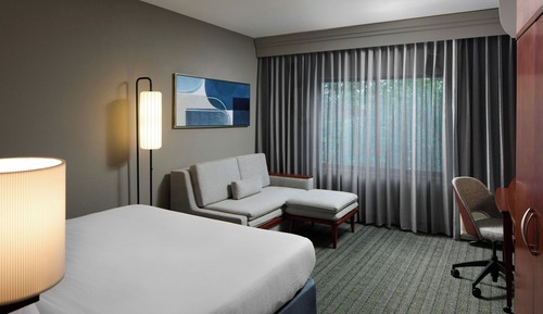 Room, 1 King Bed with Sofa bed