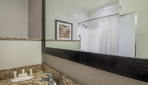 Room, 1 King Bed with Sofa bed (Mobility/Hearing Access, Roll-in Shwr)