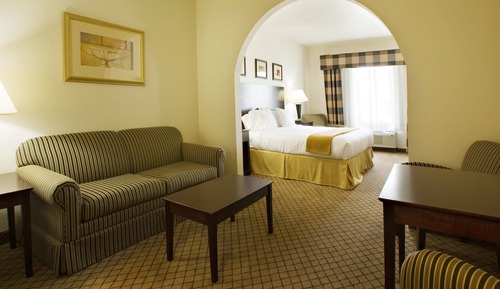 Suite, 1 King Bed, Accessible