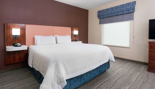 Studio, 1 King Bed, Accessible (Mobility & Hearing, Roll-in Shower)