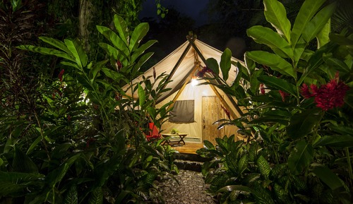 Safari Glamping King