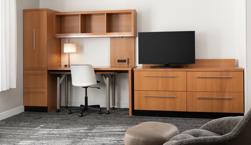 Suite, 1 Queen Bed with Sofa bed