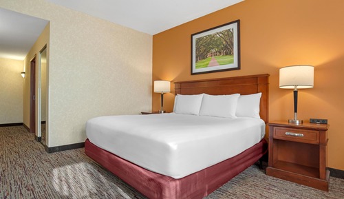 Room, 1 King Bed, Accessible (Roll in Shower)