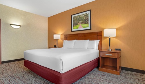 Suite, 1 King Bed with Sofa bed, Accessible (Sofa Sleeper, Tub, 2 Rooms)