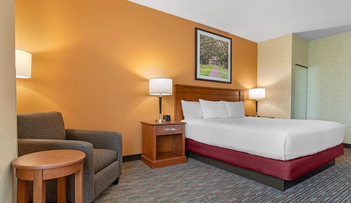 Room, 1 King Bed (Jacuzzi)