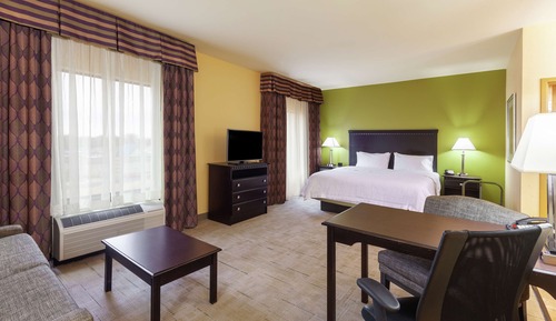Studio Suite, 1 King Bed with Sofa bed