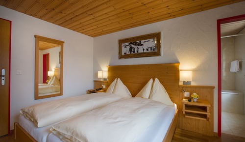 Standard Double Room (Panorama)