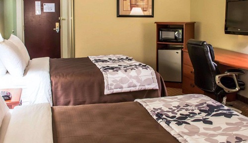 Room, Multiple Beds, Accessible, Non Smoking