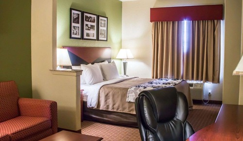 Suite, 1 King Bed with Sofa bed, Non Smoking