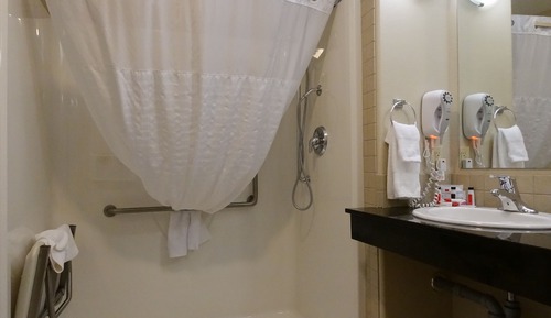 Room, 1 King Bed, Accessible, Non Smoking (Roll-in Shower, Pet-friendly)