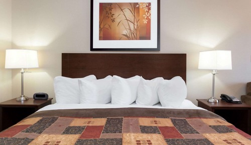 Room, 1 King Bed, Non Smoking (Pet-friendly)