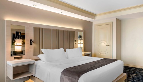 Room, 1 King Bed, Accessible, Non Smoking