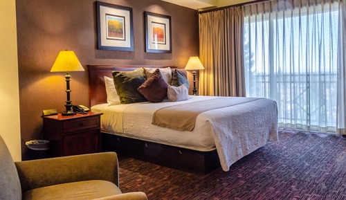 Deluxe Room 1 King Bed