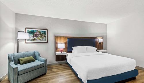 Room, 1 King Bed, Accessible, Bathtub