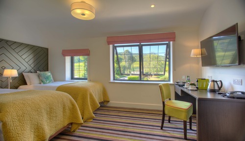Twin Room, Ensuite, Vineyard View
