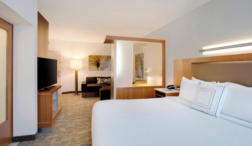 Studio, 1 King Bed with Sofa bed (Mobility Accessible, Roll-In Shower)