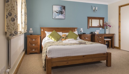 Double Room, 1 King Bed