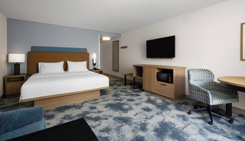 Room, 1 King Bed, Non Smoking