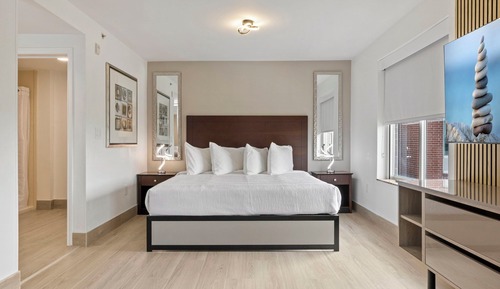 Standard Suite, 1 King Bed with Sofa bed