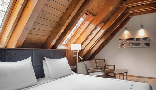 Suite, 1 King Bed with Sofa bed