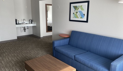 Suite, 1 King Bed with Sofa bed